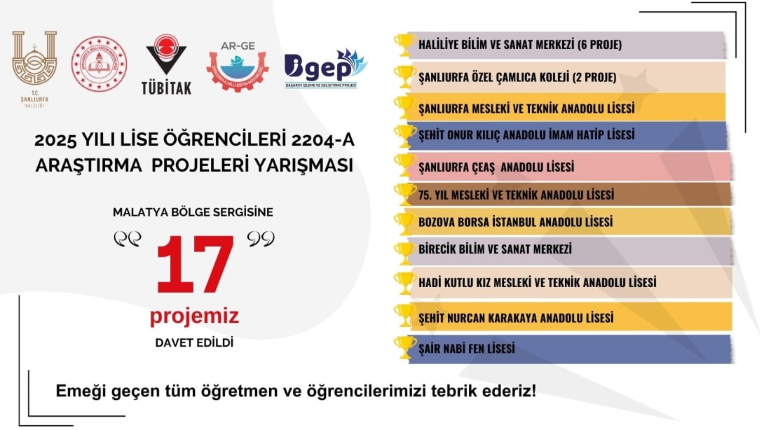 TÜBİTAK 2204-A